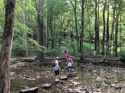 Glen Helen Nature Preserve Yellow Springs 2019 All You Need To Know