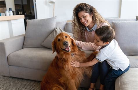 We offer same or next day appointments, online care and a personal health coordinator. Pet Insurance in Greenfield, WI | Crawford Animal Hospital