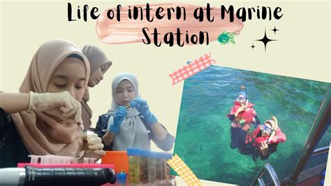 Life of an intern at Marine Research Station| 2022 |Vlog - YouTube