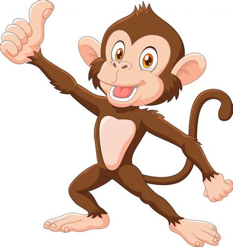 Premium Vector Cute Monkey Giving Thumb Up Isolated On White