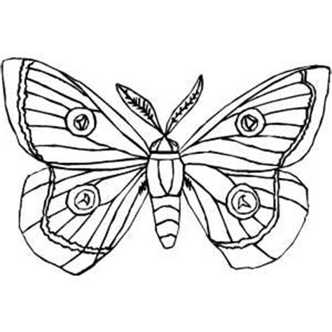 We did not find results for: Moth Coloring Page