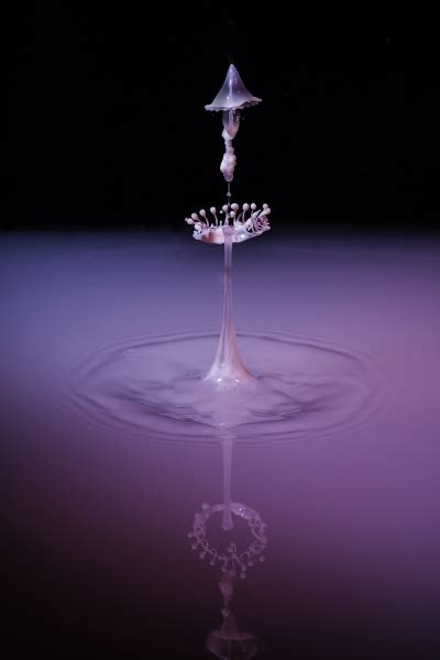 Water Drop Photography Best Kit Ephotozine