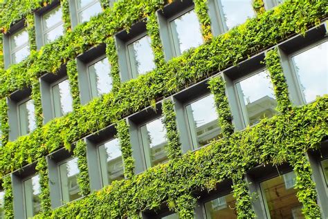 A green building is an environmentally sustainable building, designed, constructed and operated to minimise the total environmental impacts. Trust calls for increase in green infrastructure ...