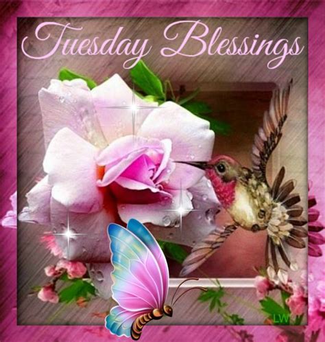 Nature Tuesday Blessings Pictures Photos And Images For