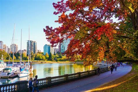 37 Stunning Photos Of Stanley Park In The Fall 604 Now