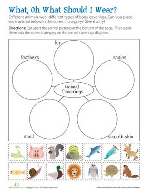 1st grade science worksheets this is where science really starts to enter the classroom and children start asking more questions. Animal Body Coverings | Work stuff | Pinterest ...