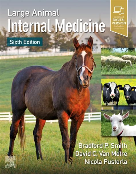 Large Animal Internal Medicine Edition 6 Edited By Bradford P