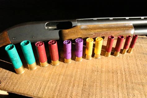 Shotgun Shells Explained—the New Shooters Dictionary