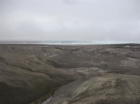 Oldest DNA Reveals Life In Greenland 2 Million Years Ago