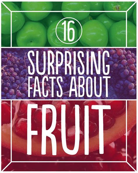 16 Mind Blowing Fruit Facts Fruit Facts Fresh Fruit Recipes Nutrition