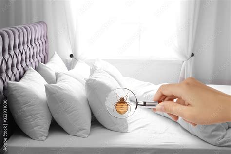 Woman With Magnifying Glass Detecting Bed Bug Closeup Stock Photo