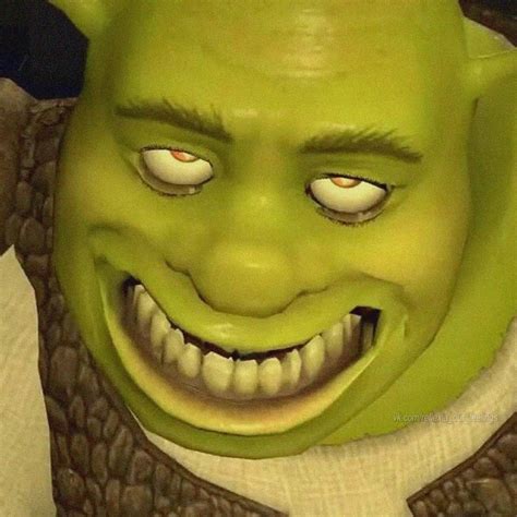 Funny Shrek Memes And Crazy Pictures