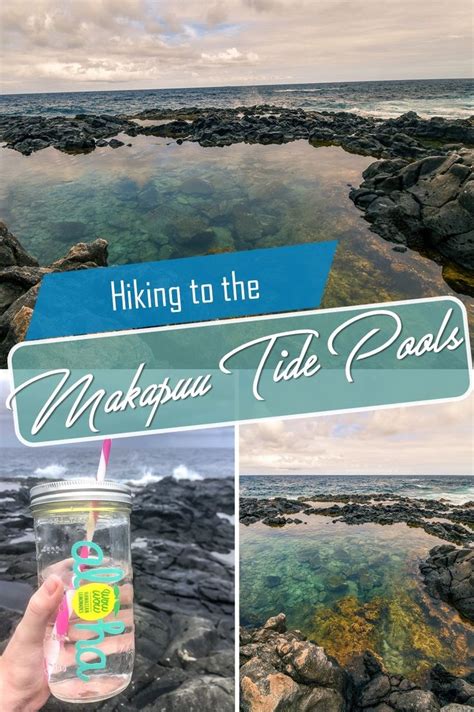 Makapuu Tide Pools Hike Travel Usa Hawaii Travel America Travel