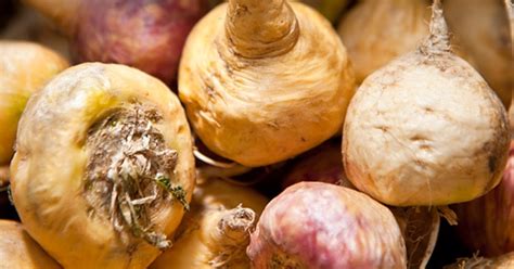 Maca Six Foods That Can Improve Your Sex Life Mens Journal