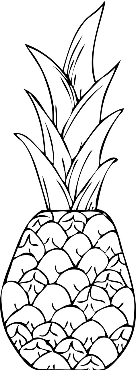 Pineapple Coloring Page ~ Coloring Pages