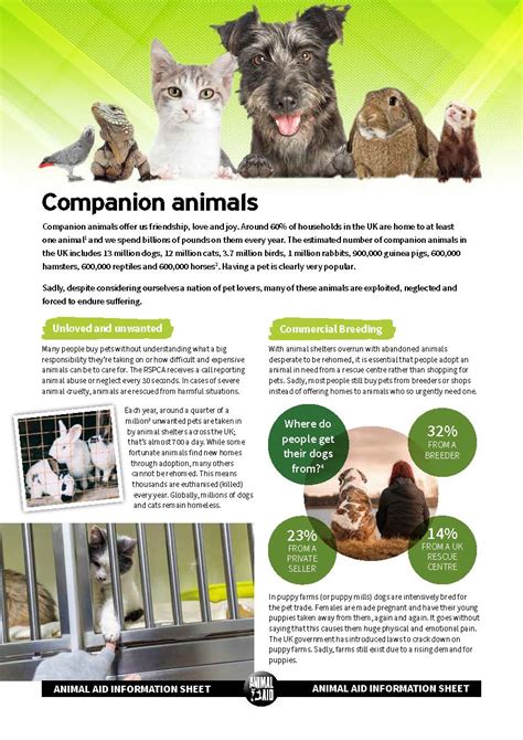 Companion Animals Factsheet Teaching Resources