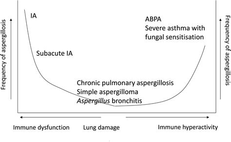 The Clinical Spectrum Of Pulmonary Aspergillosis Thorax