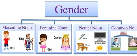 Lesson Planning Of Masculine Feminine And Neuter Genders Subject