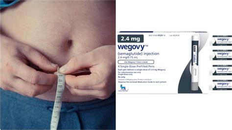 Us Fda Approves Obesity Drug Wegovy Which Helped People Cut Weight By