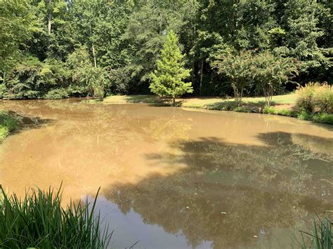 Pond netting is essential to have on hand because it can protect your fish from the threat of predators and can also prevent debris from entering the water each season. Pitfalls to Avoid with New Farm Ponds / Platinum Ponds ...