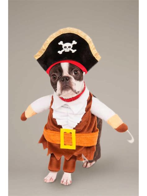 Pirate Costume For Dogs Pets Costumes And Dress Up Chasing Fireflies