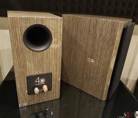 Dynaudio Special Forty 40th Anniversary Speakers Grey Birch ~ Like New