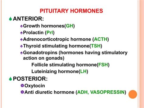 Growth Hormone Pituitary Gland Ppt