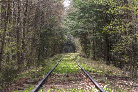 My Favorite Bit Of Creepy Abandoned Railroad In Nh So Far It May Be