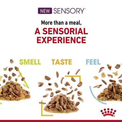 Sensory™ Smell Chunks In Gravy Cat Retail Products Royal Canin Shop