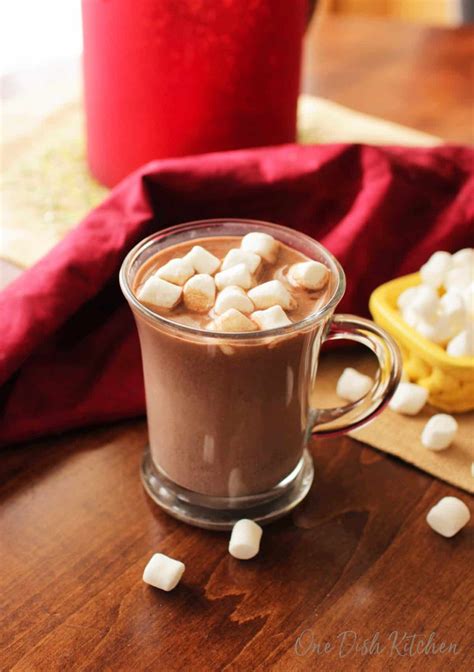 Hot Chocolate Recipe Single Serving One Dish Kitchen