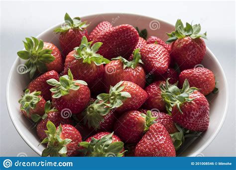 Bowl Full Of Fragaria Commonly Called Strawberry Stock Photo Image