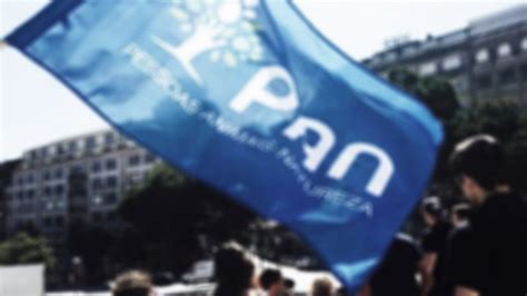 Aprovada Proposta Do Pan Lisboa Para Equipa Para Interven O Em Casos