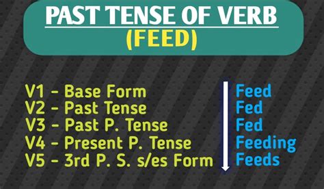 Feed Past Tense Present Future Participle Form V1 V2 V3 V4 V5