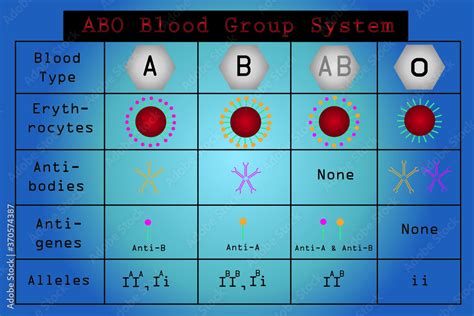 Abo Blood Group System And Allele Of Abo Blood Group Classification Of