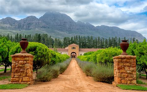 Winelands Of The Western Cape South Africa Onstandby