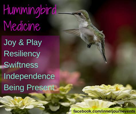 Hummingbird Medicine Joy And Play Resiliency Swifness Independence