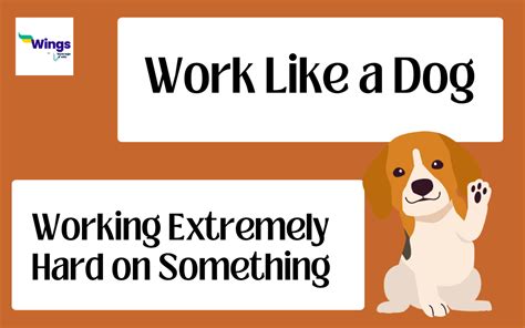 Work Like A Dog Meaning Examples Synonyms Leverage Edu