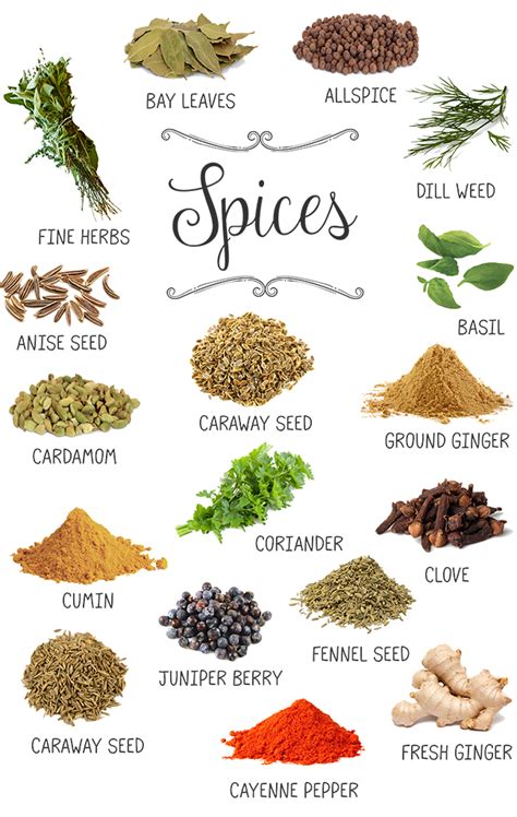 Spice Glossary Ww Usa