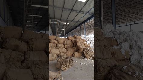 Cotton Seed Separation And Packing Youtube