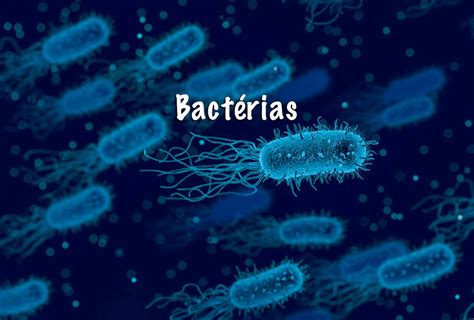 Bactérias Principais Tipos Reprodução Das Bactérias E Doenças