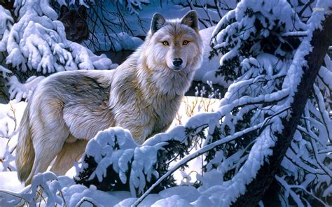 White Wolf Anime Free Download Anime Wolf With Blue Eyes White Wolf