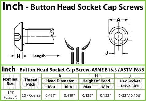 14 20 Button Head Screws Stainless Steel 18 8 Hex Socket Cap