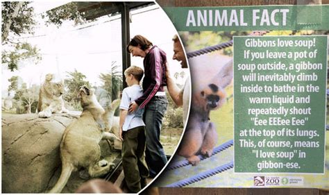 Man leaves funny fake animal facts around LA zoo | Express.co.uk