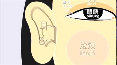 Learn Chinese Vocabulary Face Body Parts Youtube