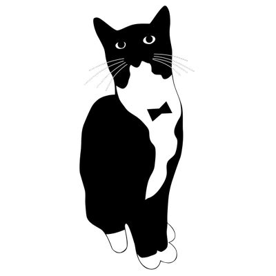 Tuxedo Cat Png & Free Tuxedo Cat.png Transparent Images ...