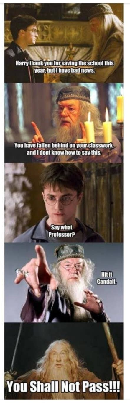 harry potter memes dumbledore