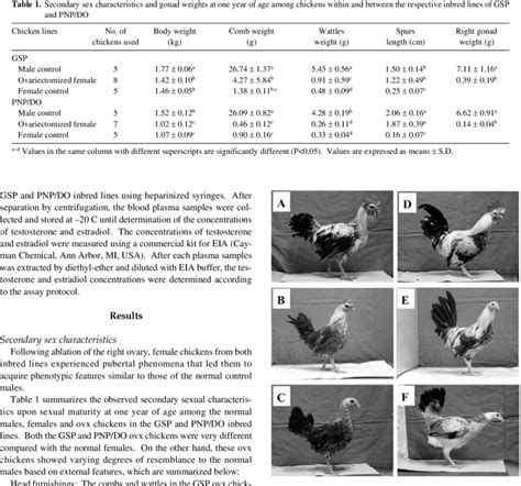 Observed Secondary Sex Characteristics Of Chickens Within Inbred Lines Download Scientific