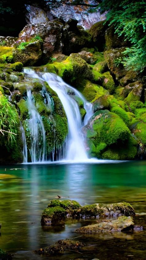 Wallpaper Waterfall Moss Stones Nature 2560x1600 Hd Picture Image