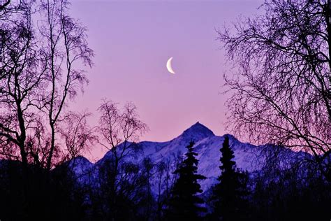 The Crescent Moon In Lavender Photograph By Lori Child Fine Art America