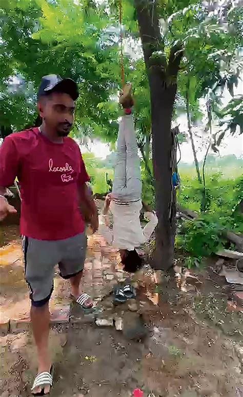 Jalandhar Teen Thrashed Hung Upside Down From Tree Panch Held The